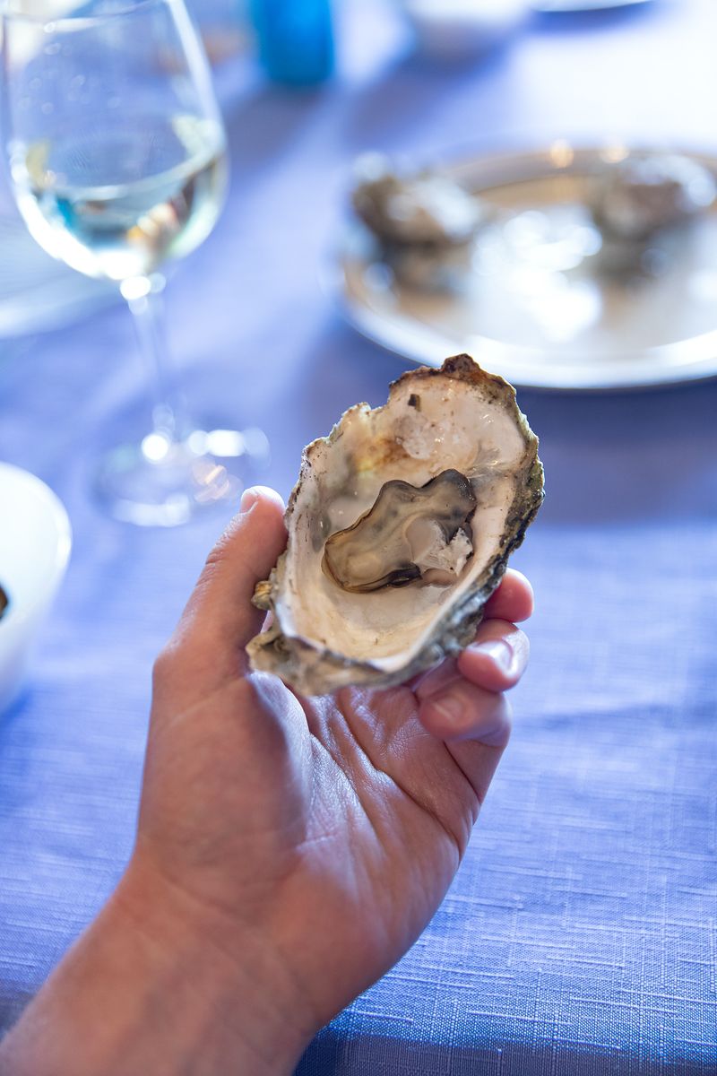 © Joshua H Phelps - Image from the In Which I Hold Food photography project