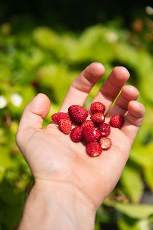 In Which I Hold Food