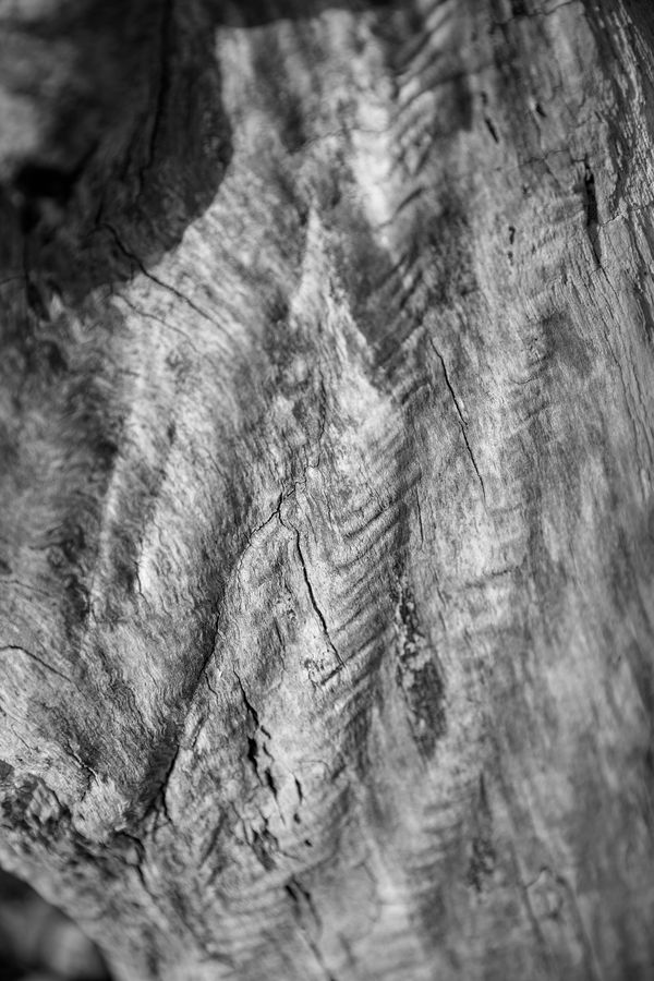 © Joshua H Phelps - Image from the Adrift in Song photography project