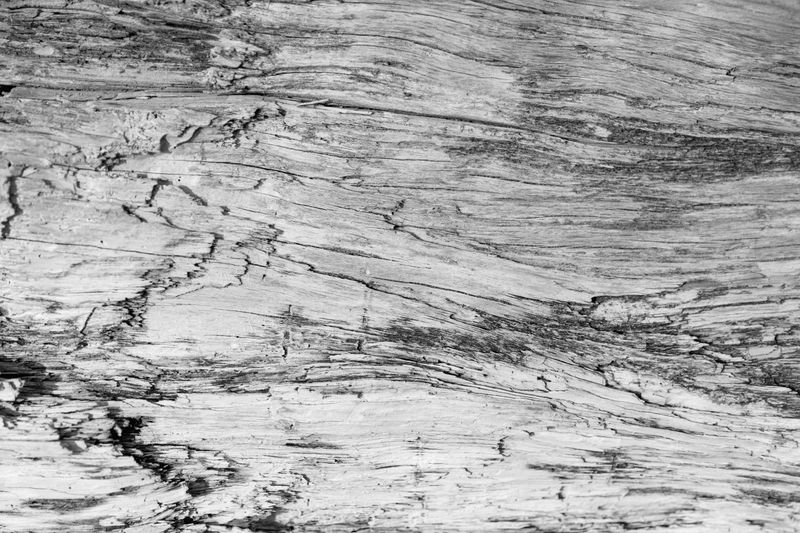 © Joshua H Phelps - Image from the Adrift in Song photography project