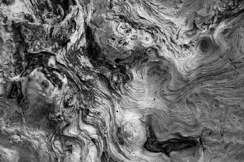 © Joshua H Phelps - Image from the Adrift in Song photography project