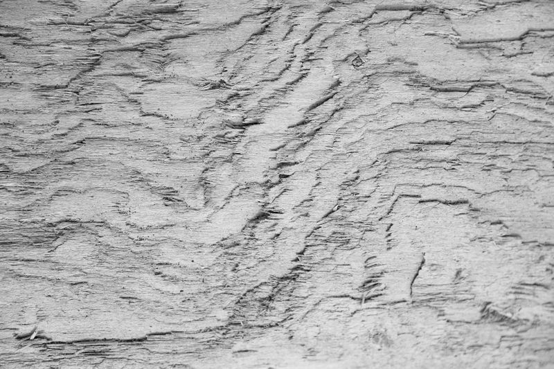 © Joshua H Phelps - Image from the Adrift in Song photography project