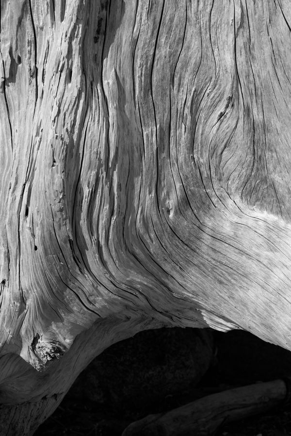 © Joshua H Phelps - Image from the Adrift in Song photography project