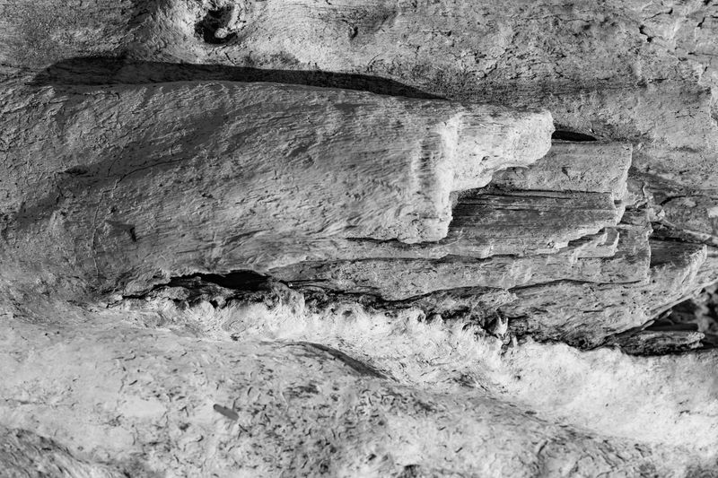 © Joshua H Phelps - Image from the Adrift in Song photography project