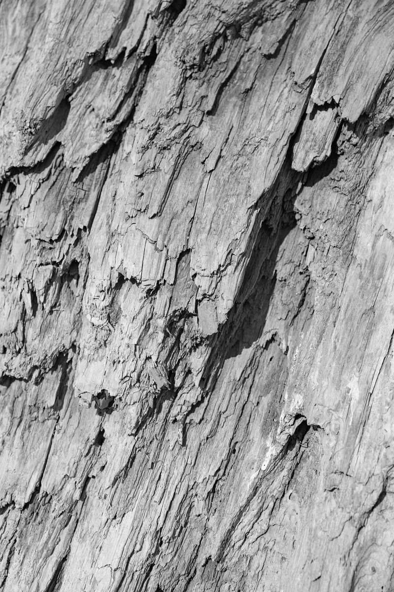 © Joshua H Phelps - Image from the Adrift in Song photography project