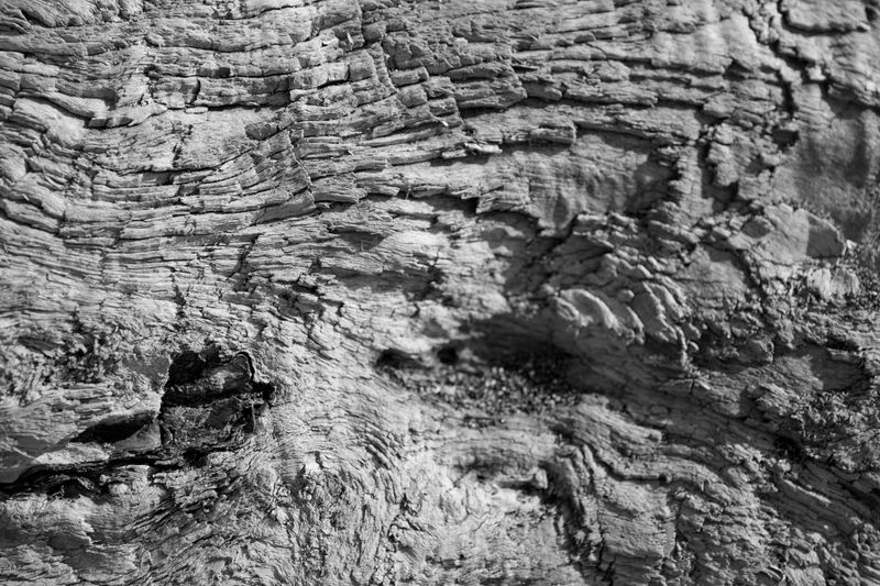 © Joshua H Phelps - Image from the Adrift in Song photography project