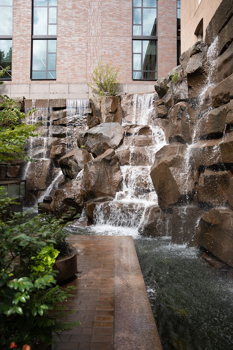 © Joshua H Phelps - Image from the Deceitful by Nature photography project