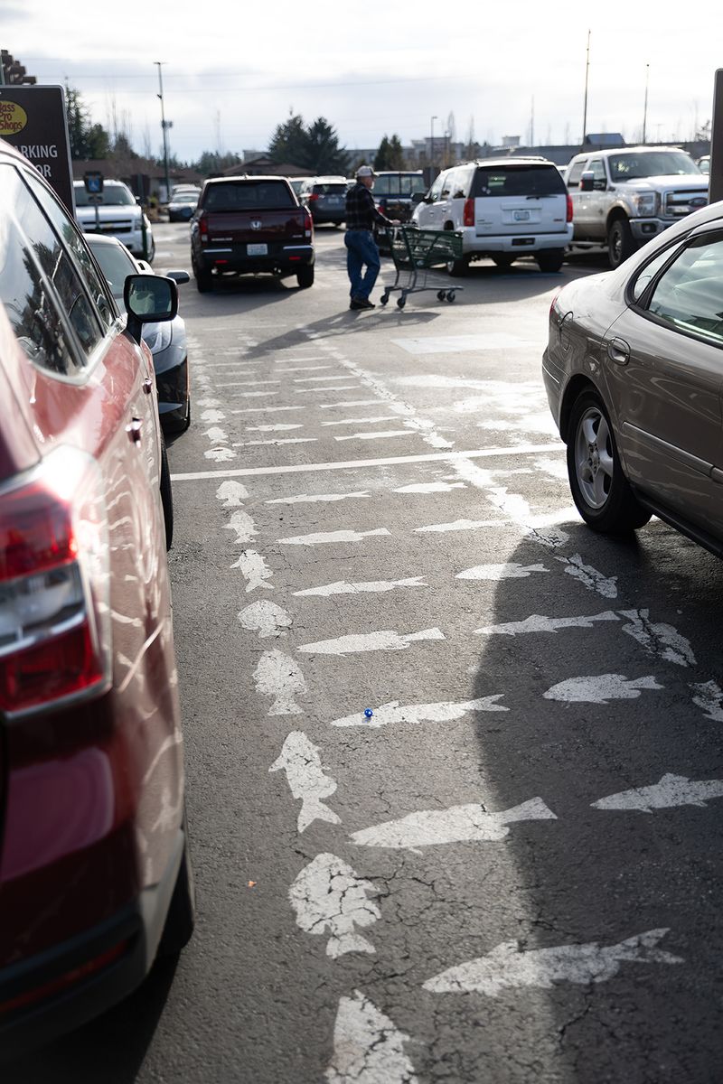 © Joshua H Phelps - Image from the Deceitful by Nature photography project