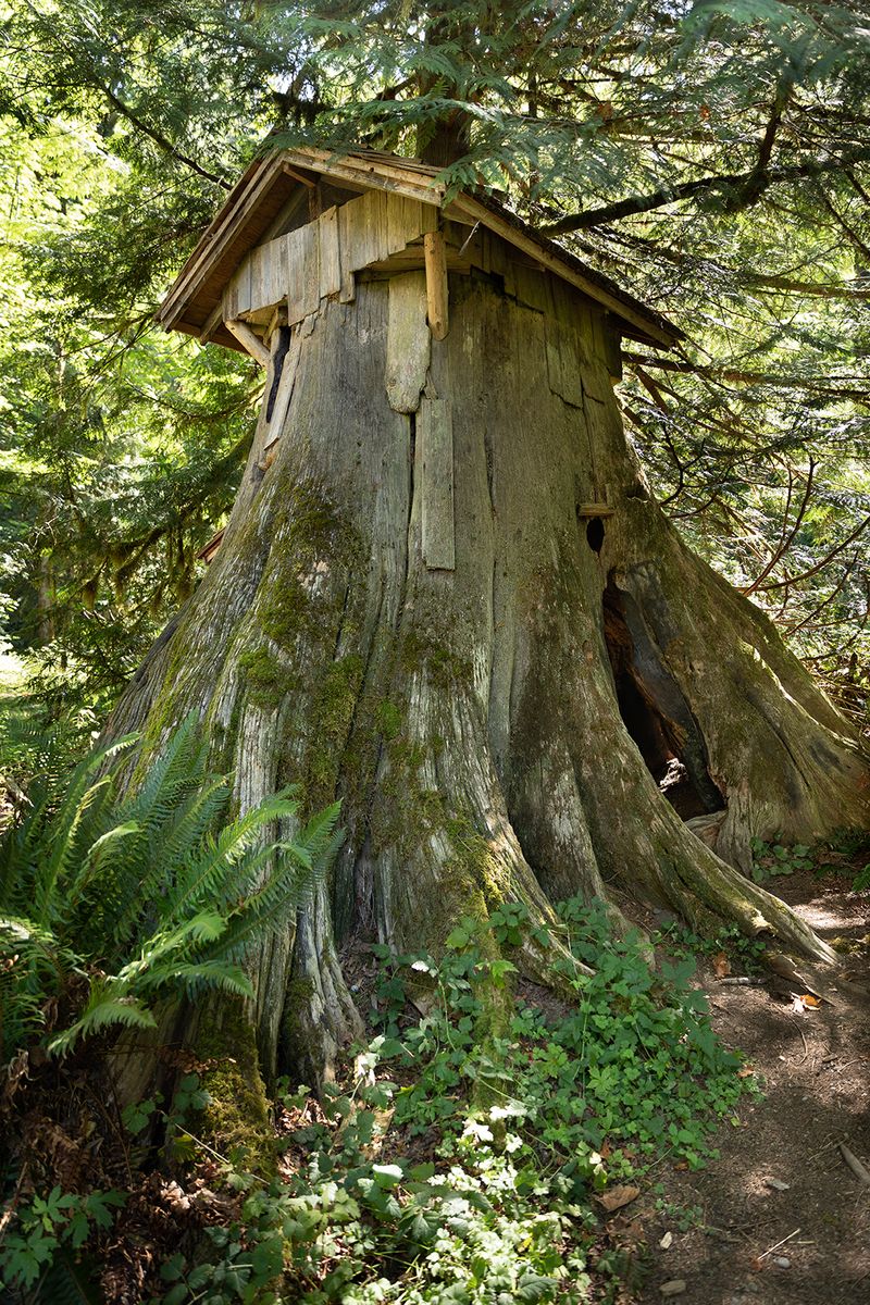 © Joshua H Phelps - Image from the Deceitful by Nature photography project