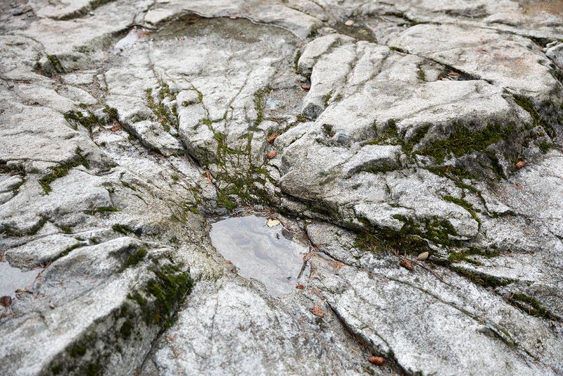 © Joshua H Phelps - Image from the Deceitful by Nature photography project