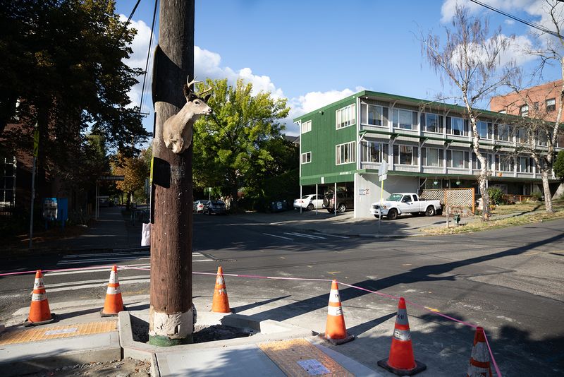 © Joshua H Phelps - Image from the Deceitful by Nature photography project