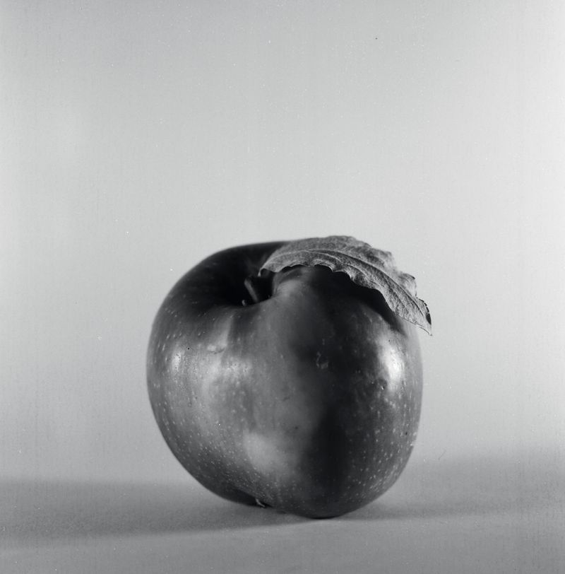 © Joshua H Phelps - Image from the Under the Shadow of Great Mountains photography project