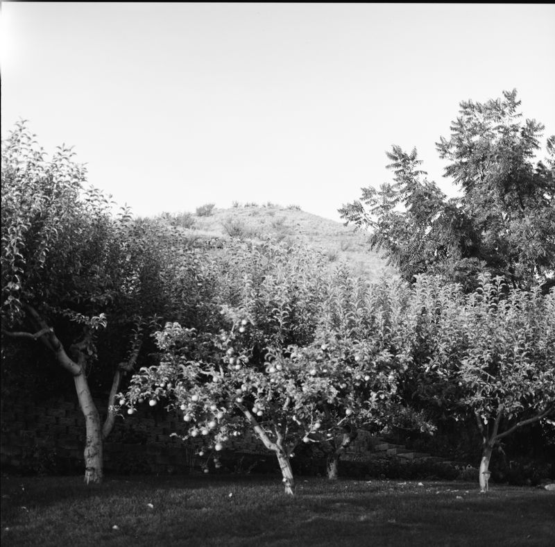 © Joshua H Phelps - Image from the Under the Shadow of Great Mountains photography project