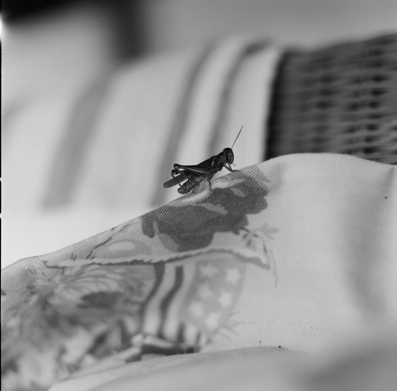 © Joshua H Phelps - Image from the Under the Shadow of Great Mountains photography project