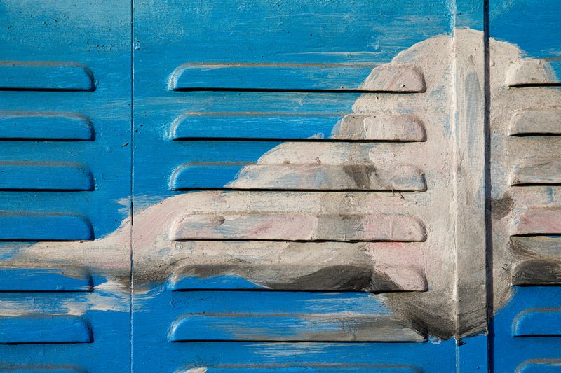 © Joshua H Phelps - Image from the Our Very Nature photography project