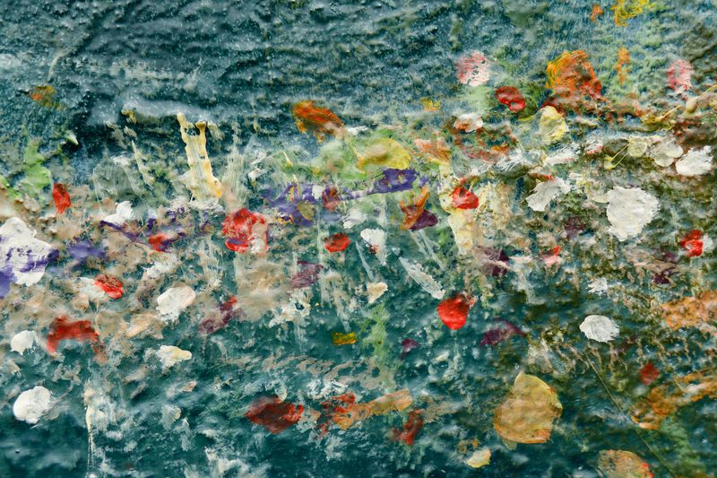 © Joshua H Phelps - Image from the Our Very Nature photography project