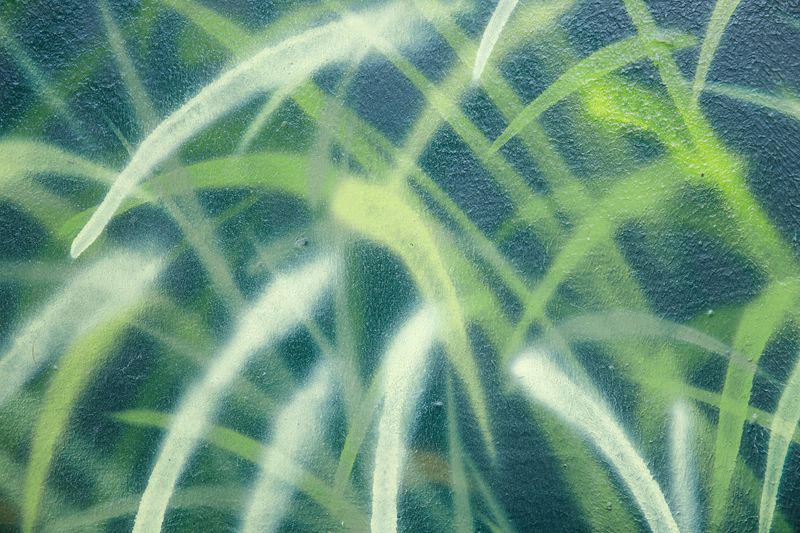 © Joshua H Phelps - Image from the Our Very Nature photography project