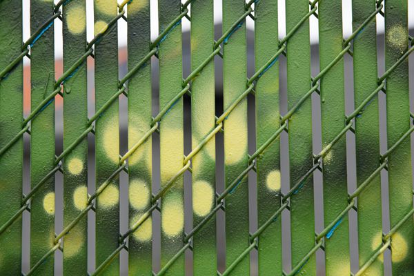 © Joshua H Phelps - Image from the Our Very Nature photography project