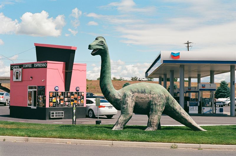 © Joshua H Phelps - Image from the Peculiar Attraction photography project