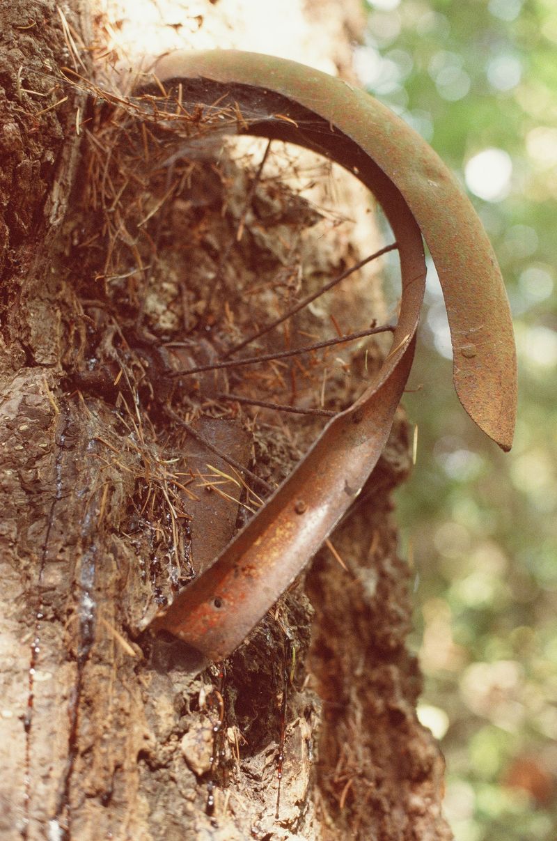 © Joshua H Phelps - Image from the Peculiar Attraction photography project