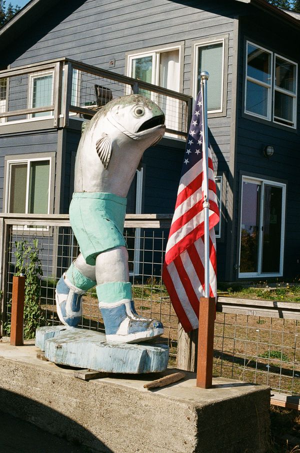 © Joshua H Phelps - Image from the Peculiar Attraction photography project