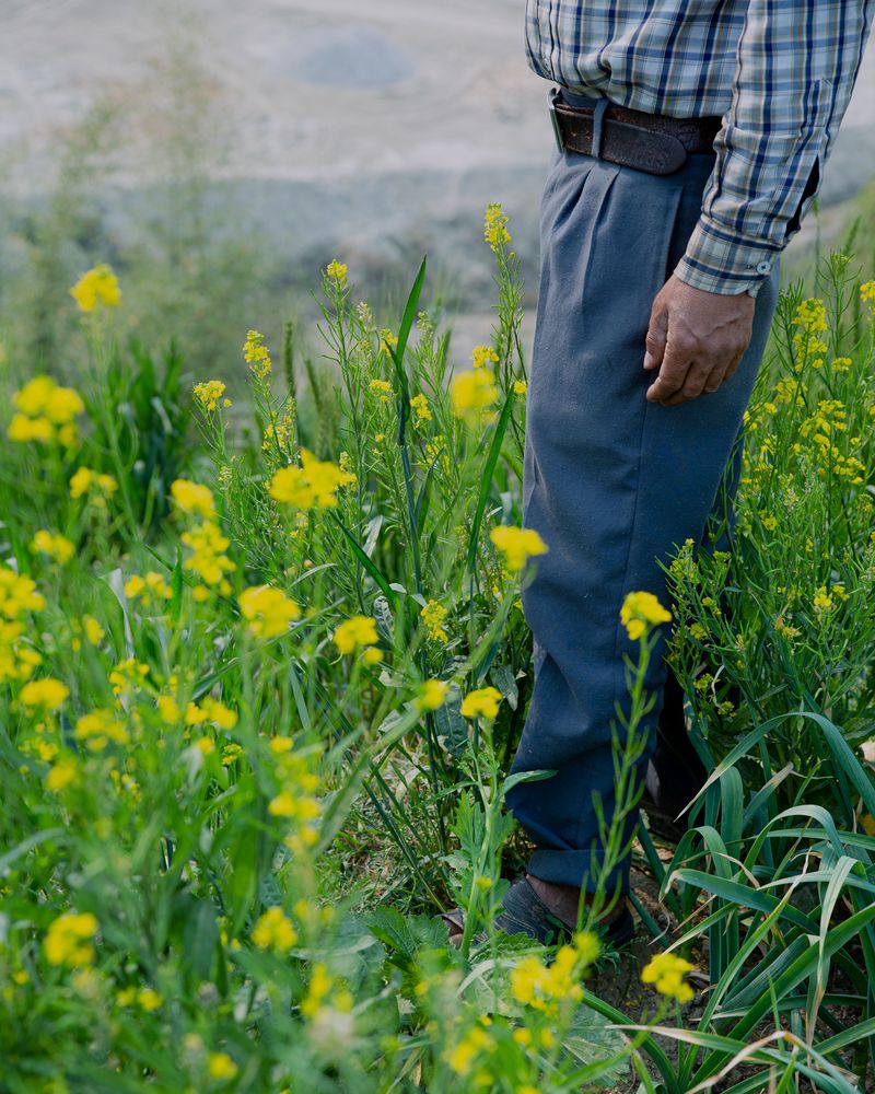 © Amit Machamasi - Image from the Not The Same Anymore photography project