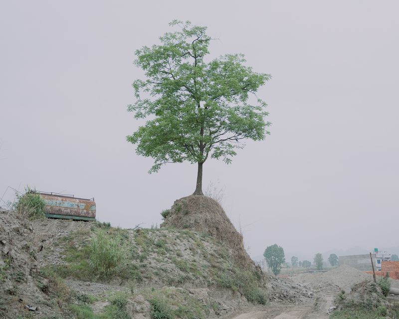 © Amit Machamasi - A lone tree stands among the debris, once fertile farmland now turned barren due to brick kilns and residential development.