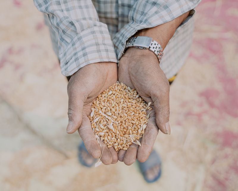 © Amit Machamasi - Image from the Not The Same Anymore photography project