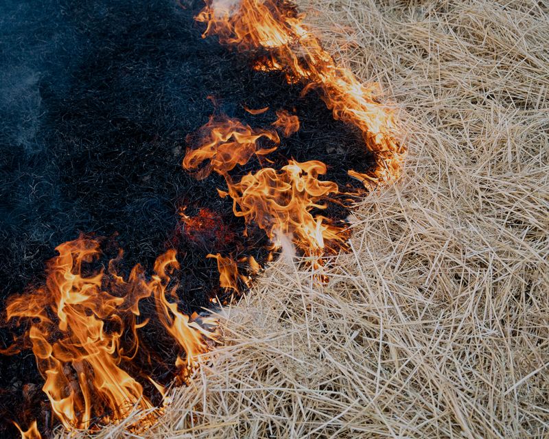 © Amit Machamasi - Farmers burn the remaining dry wheat seedlings after harvesting, as it serves as fertilizer for the field.