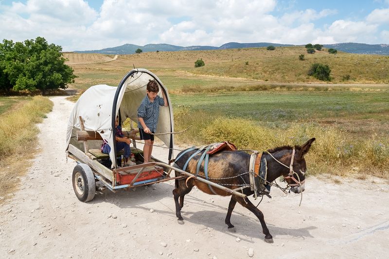 © Daniel Rolider - Uriya (r.) and his friend Uriel, in the fields of Kiryat Tivon, Israel, June 2015.
