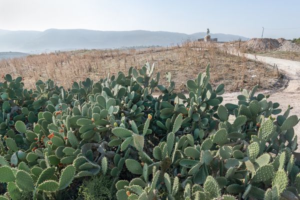 © Daniel Rolider - Zaid's Hills, Kiryat Tivon, Israel, November 2017.