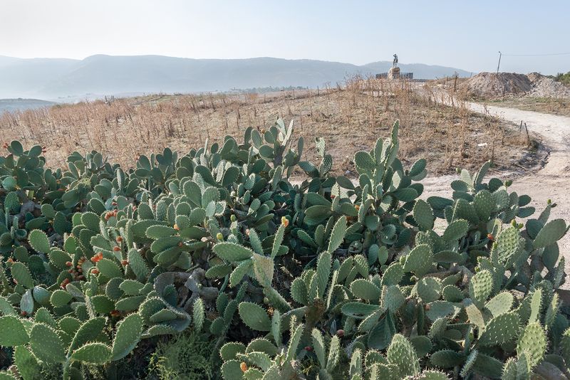 © Daniel Rolider - Zaid's Hills, Kiryat Tivon, Israel, November 2017.