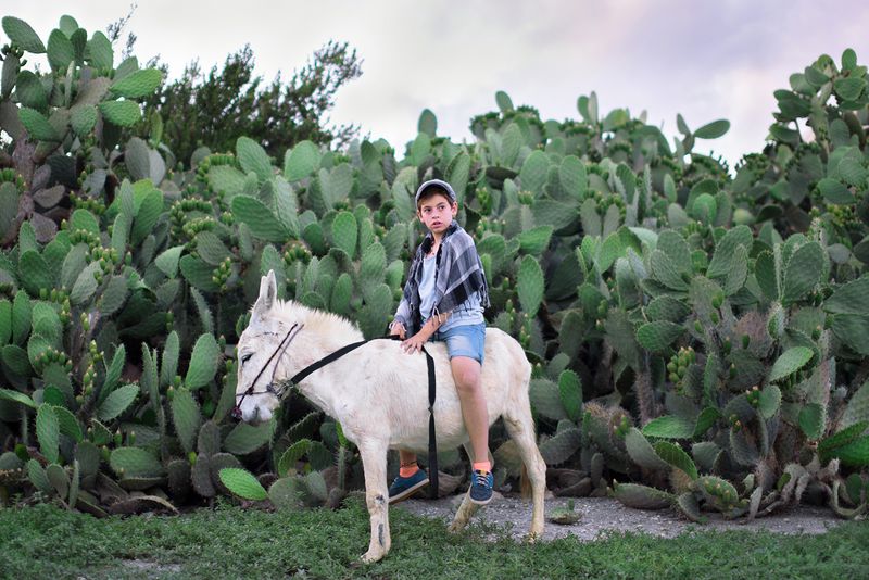 © Daniel Rolider - Uriya and our donkey, during a daily trip the Zaid's Hills, Kiryat Tivon, Israel, May 2016.