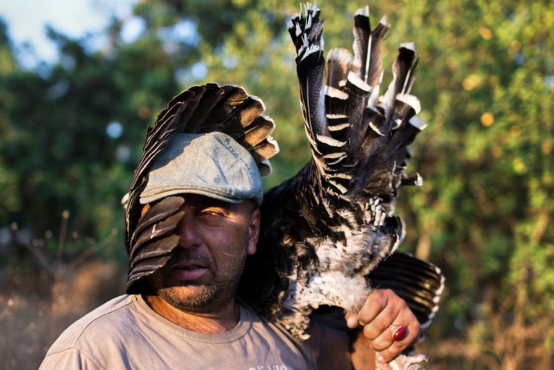 © Daniel Rolider - Arik and our turkey in our backyard, Kiryat Tivon, Israel, June 2016.
