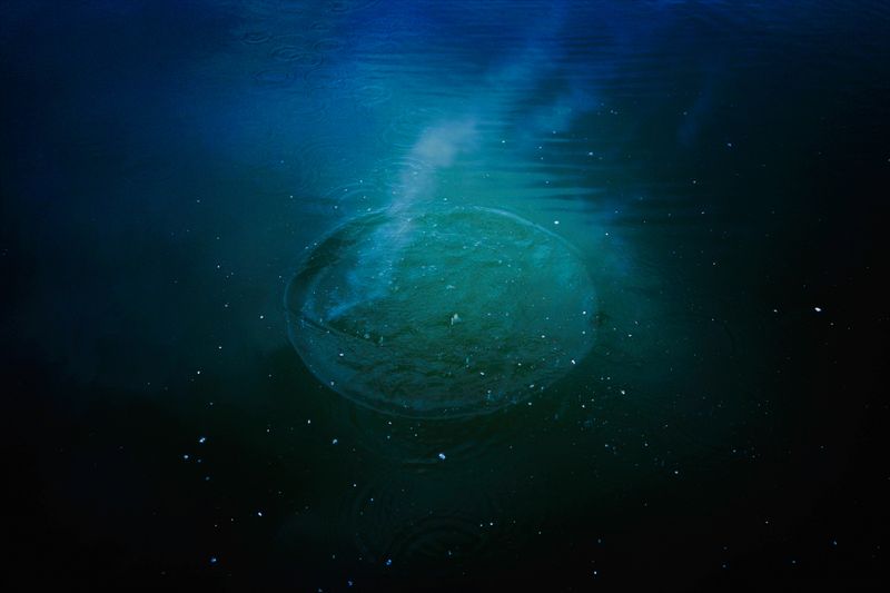 © Mien-Thuy Tran - Image from the Rootless photography project