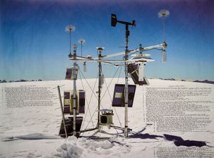 Naturalists of the Long Now