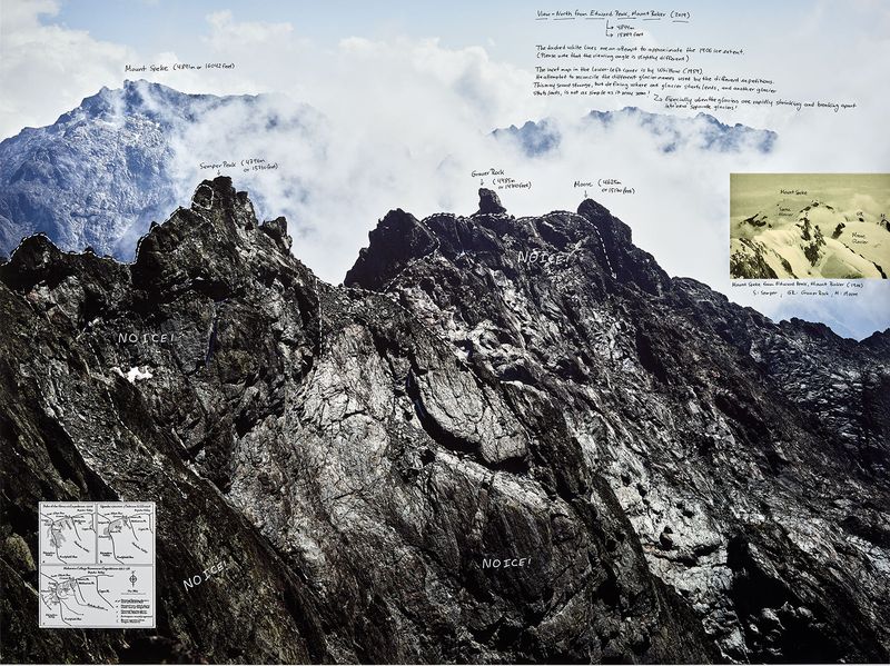 © Ian van Coller - Image from the Naturalists of the Long Now photography project