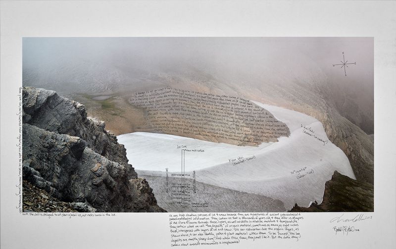 © Ian van Coller - Image from the Naturalists of the Long Now photography project