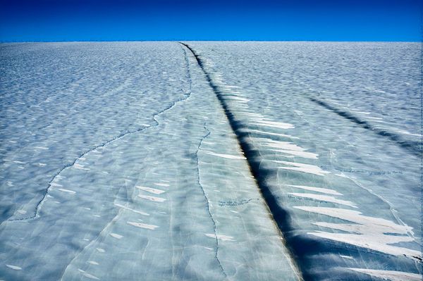 © Ian van Coller - Image from the Naturalists of the Long Now photography project