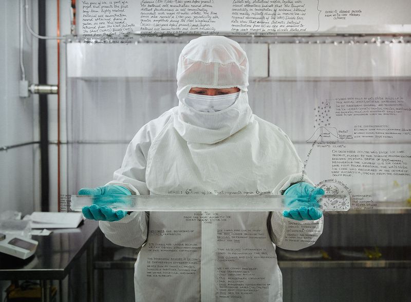 © Ian van Coller - Image from the Naturalists of the Long Now photography project