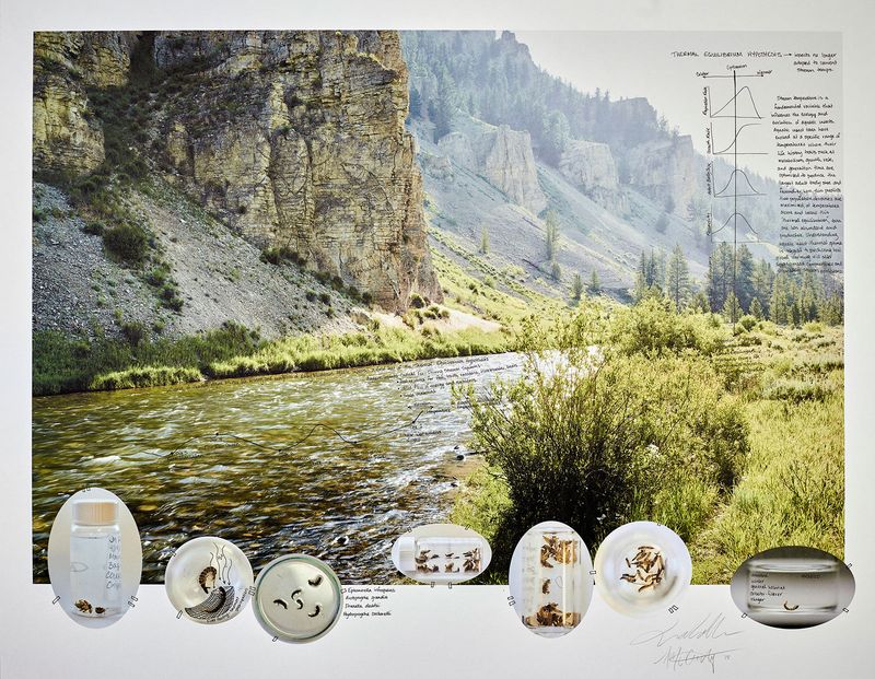 © Ian van Coller - Image from the Naturalists of the Long Now photography project