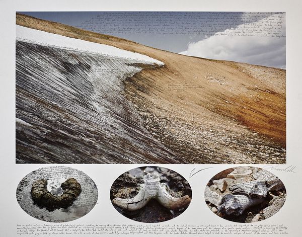 © Ian van Coller - Image from the Naturalists of the Long Now photography project