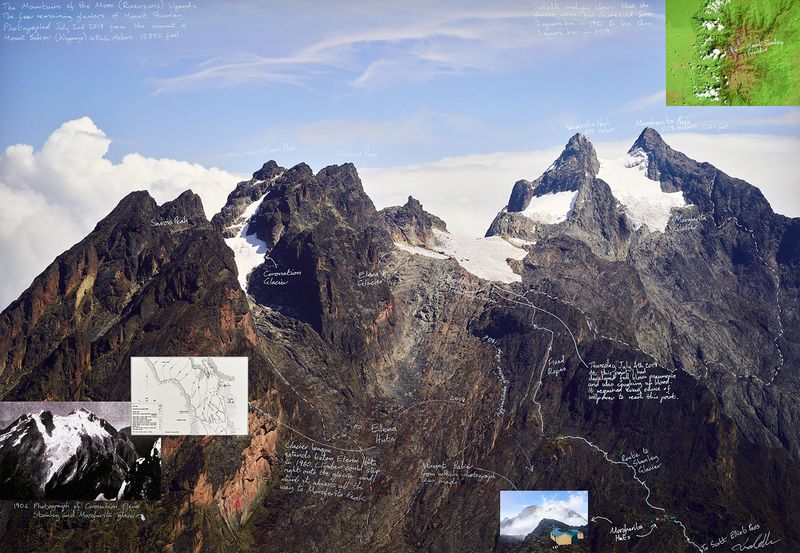 © Ian van Coller - Image from the Naturalists of the Long Now photography project