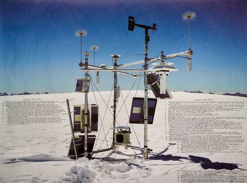 © Ian van Coller - Image from the Naturalists of the Long Now photography project