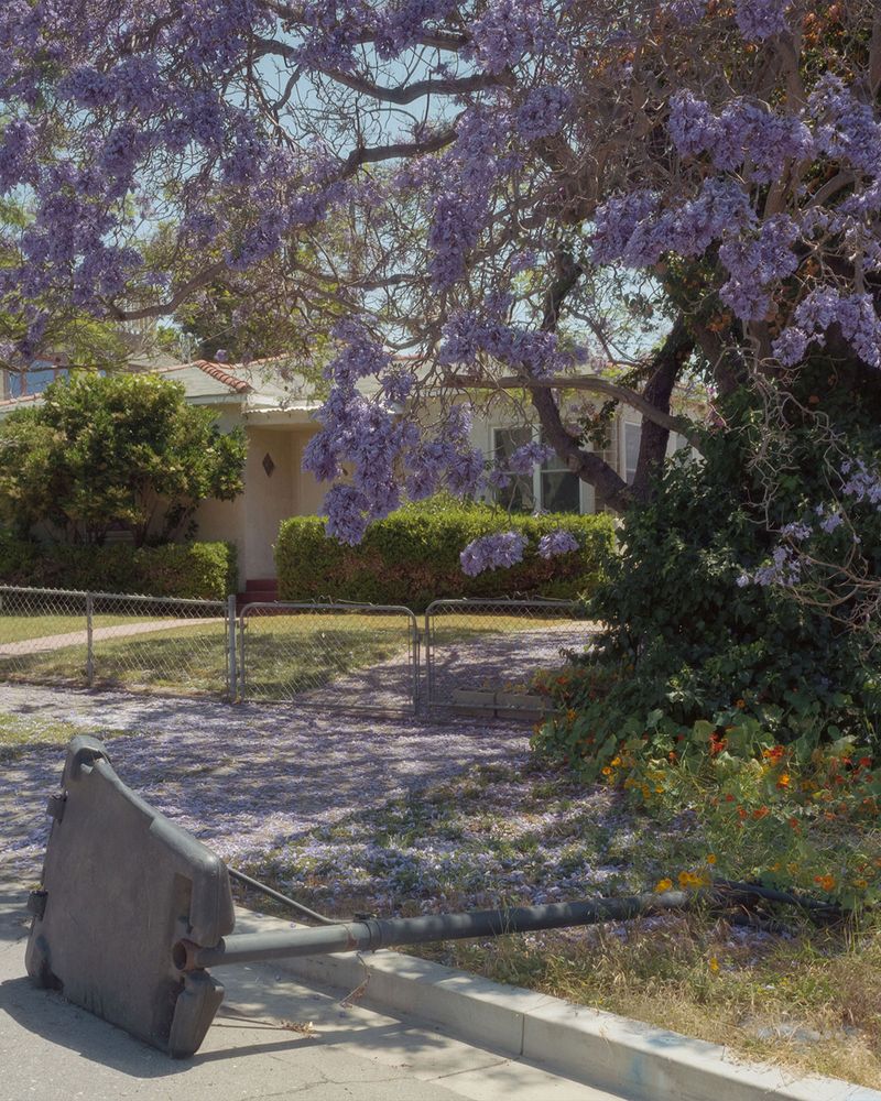 © Alan Nakkash - Image from the Notes From The Field (New Edit) photography project