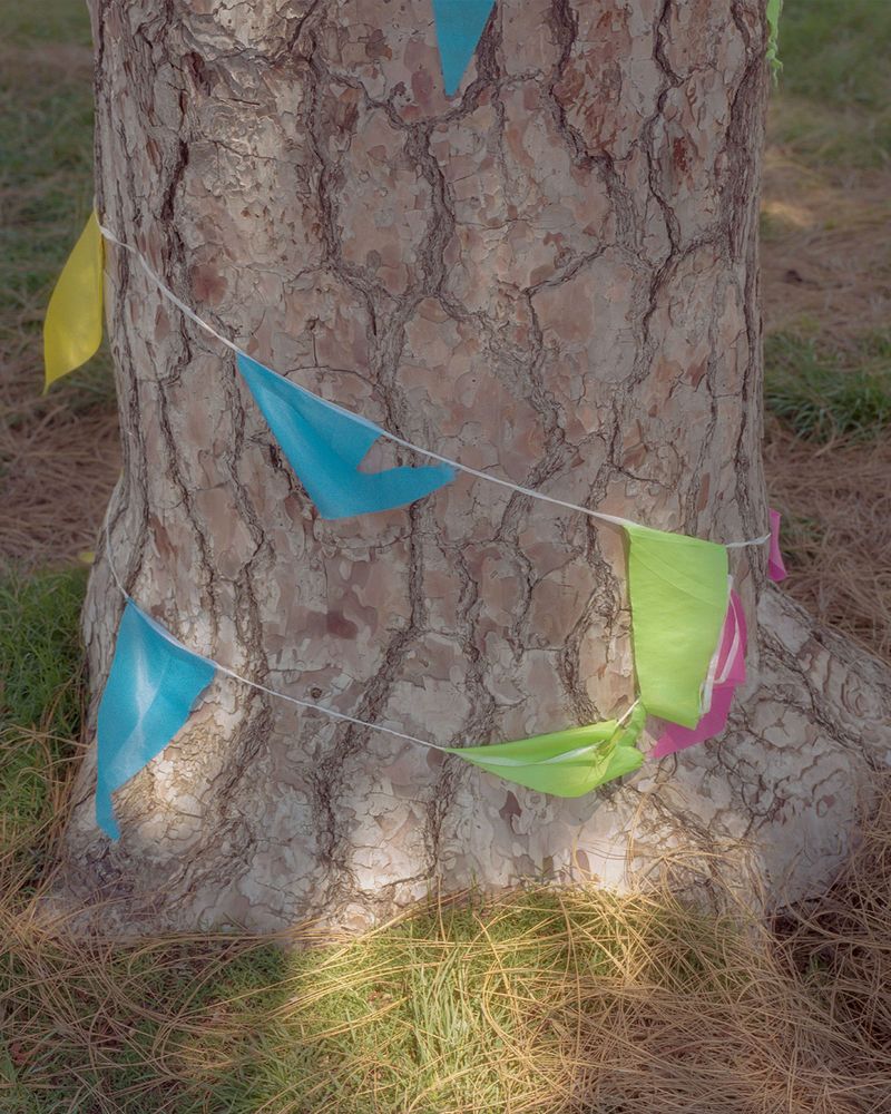 © Alan Nakkash - Image from the Notes From The Field (New Edit) photography project