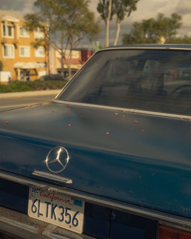 © Alan Nakkash - Image from the Notes From The Field (New Edit) photography project