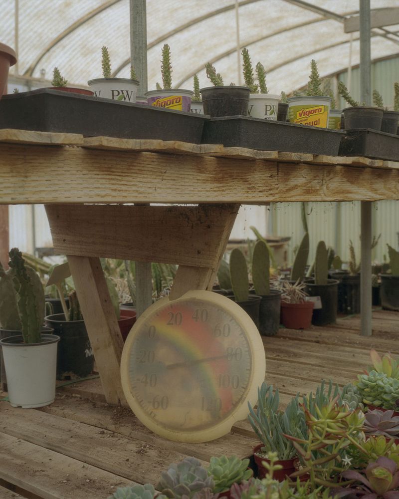 © Alan Nakkash - Image from the Notes From The Field (New Edit) photography project