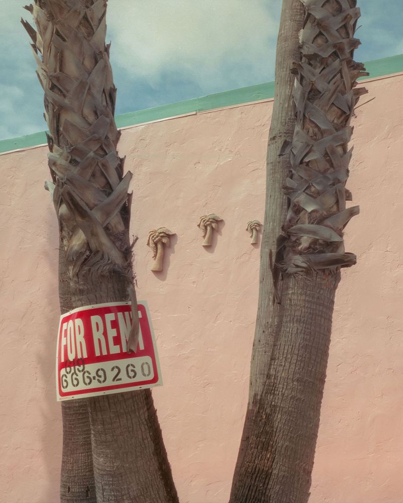 © Alan Nakkash - Image from the Notes From The Field (New Edit) photography project