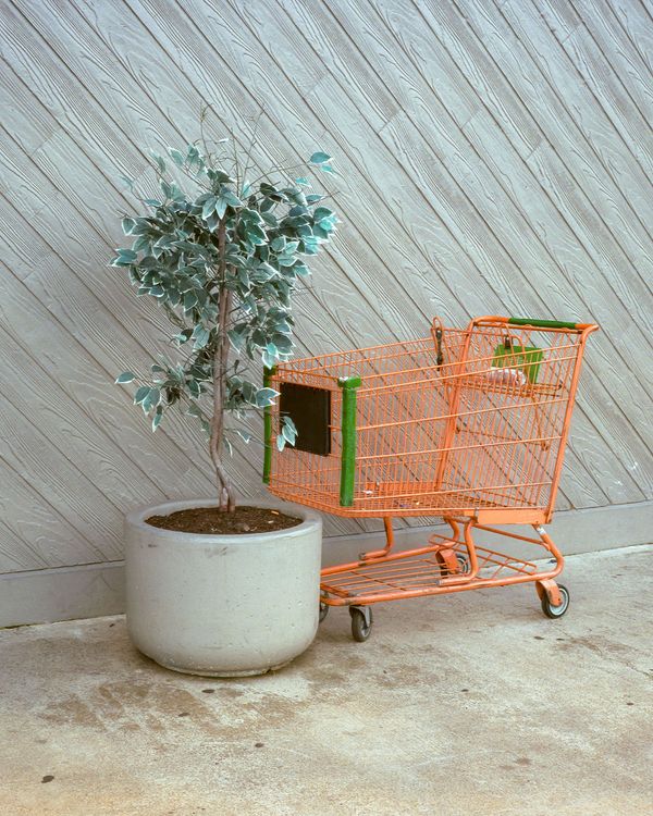 © Alan Nakkash - Image from the Notes From The Field (New Edit) photography project